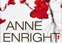 Anne Enright: Rosaleens Fest – Roman