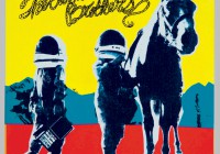 The Avett Brothers: True Sadness – Album Review