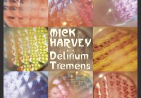 Kurz und gut: Reviews zu Mick Harvey, Júníus Meyvant und Peter Bjorn and John