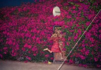 Feist: Pleasure – Albumreview