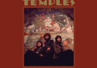 Temples: Hot Motion – Albumreview