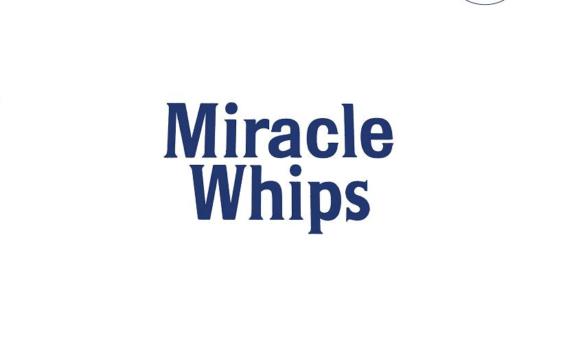 Miracle Whips The Art Of Facts Cover DevilDuck Records