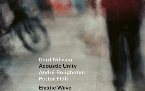 Gard Nilssen Elastic Wave Cover ECM Records