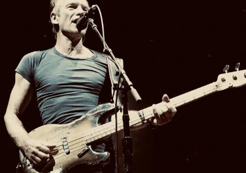 Sting credit Martin Krieszenbaum