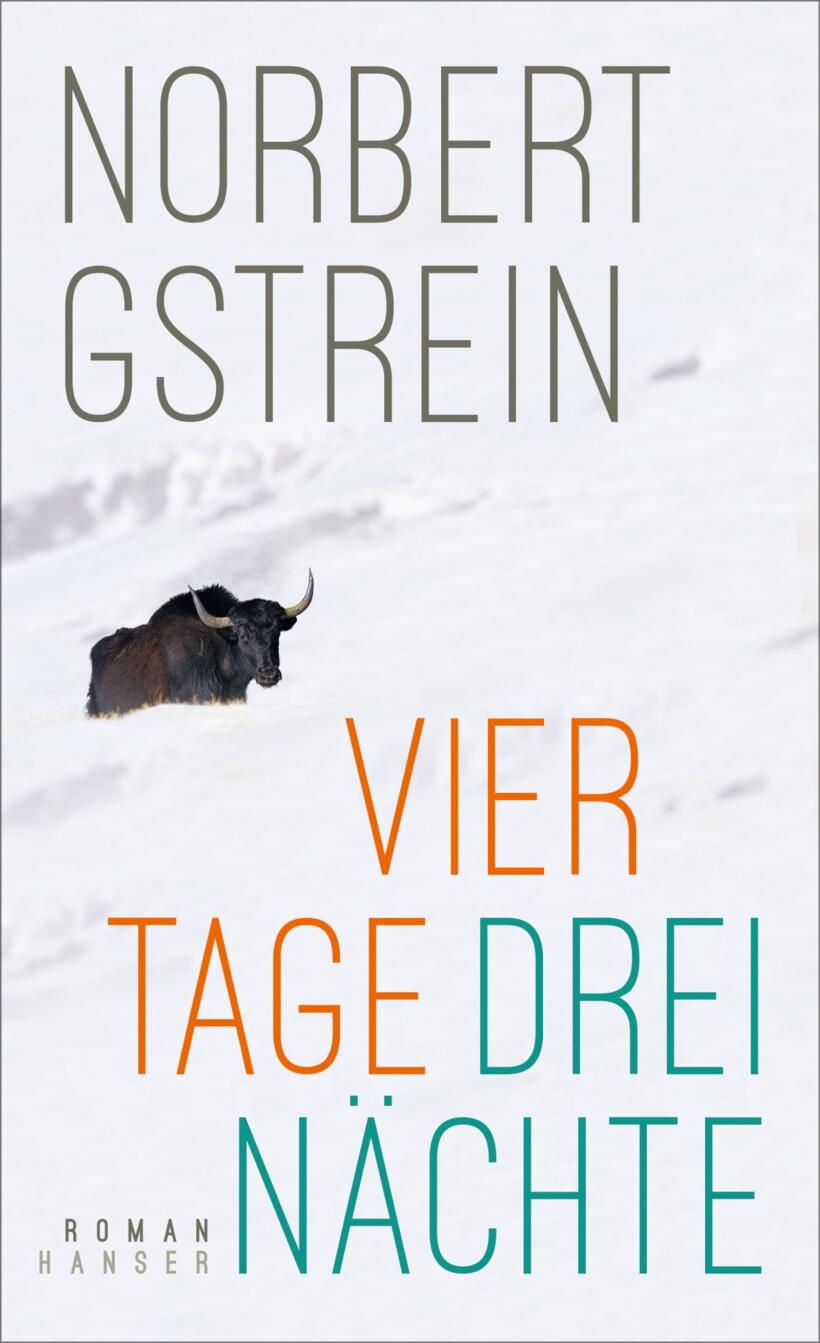 Norbert Gstrein Vier Tage drei Nächte Cover Hanser Verlag
