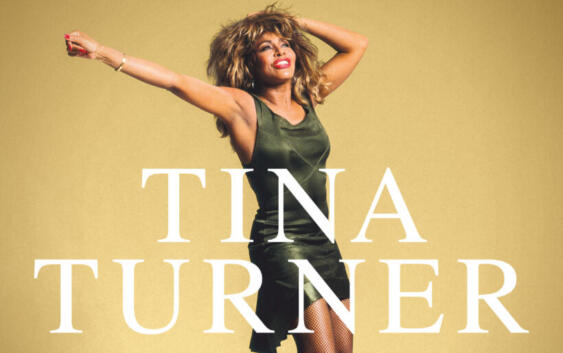 Tina Turner Queen Of Rock n Roll Cover Warner Music