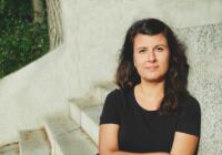 Sarah Pines: Der Drahtzieher