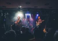 Palila live in Hamburg 2025