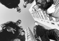 Viagra Boys: Viagr Aboys – Albumreview